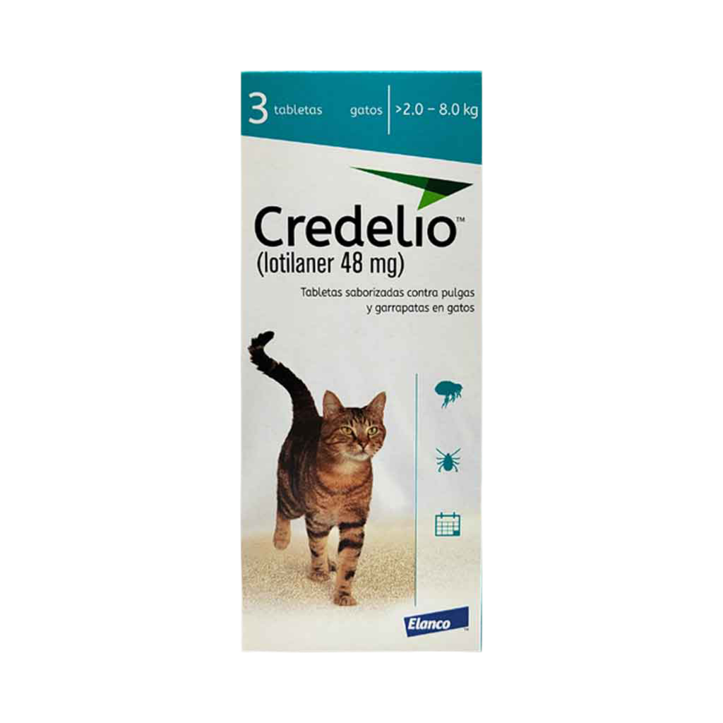 Credelio cat