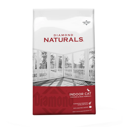 Diamond indoor cat