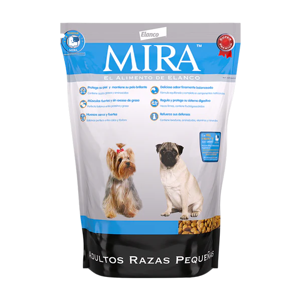 Mira adulto raza pequeña