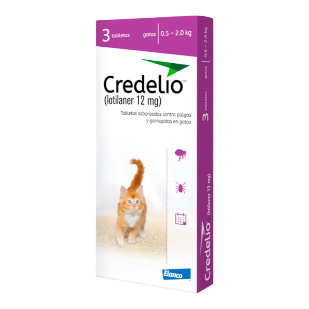 Credelio cat