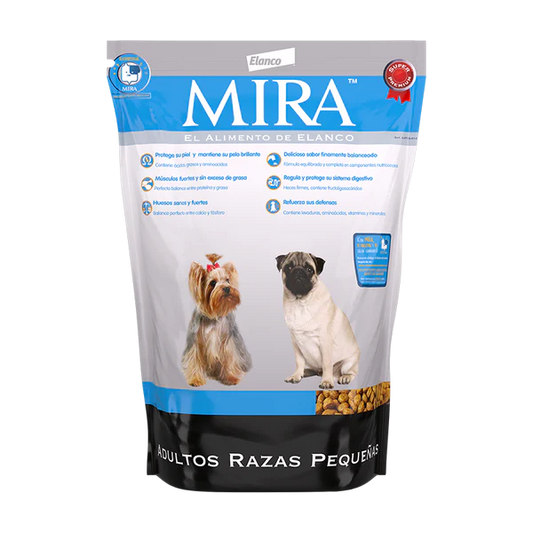 Mira adulto raza pequeña