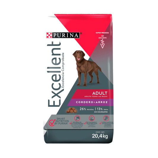 Excellent adulto cordero